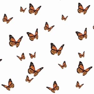 Meet your Posher, Rory